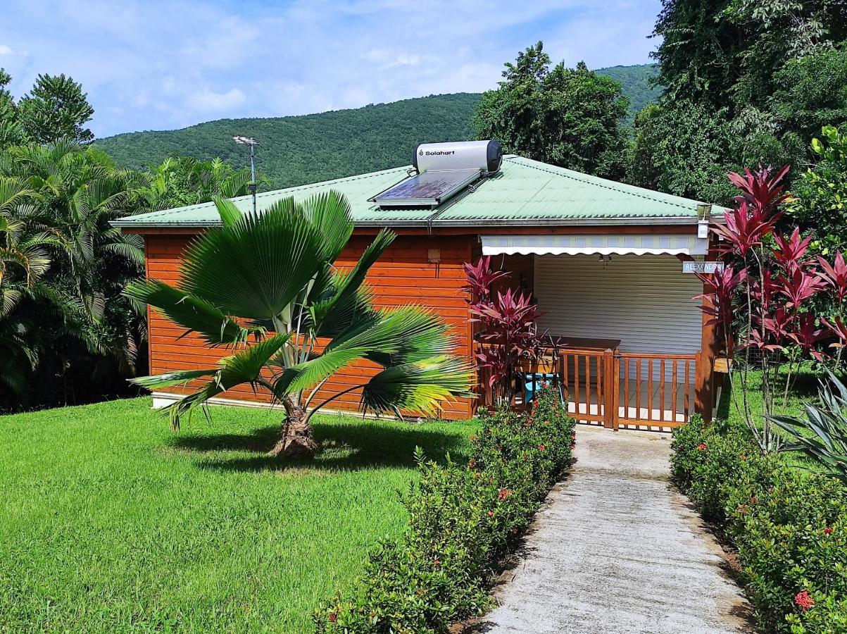 Le Tri Haut De Bellevue - Bungalow Colibri Pointe-Noire Buitenkant foto